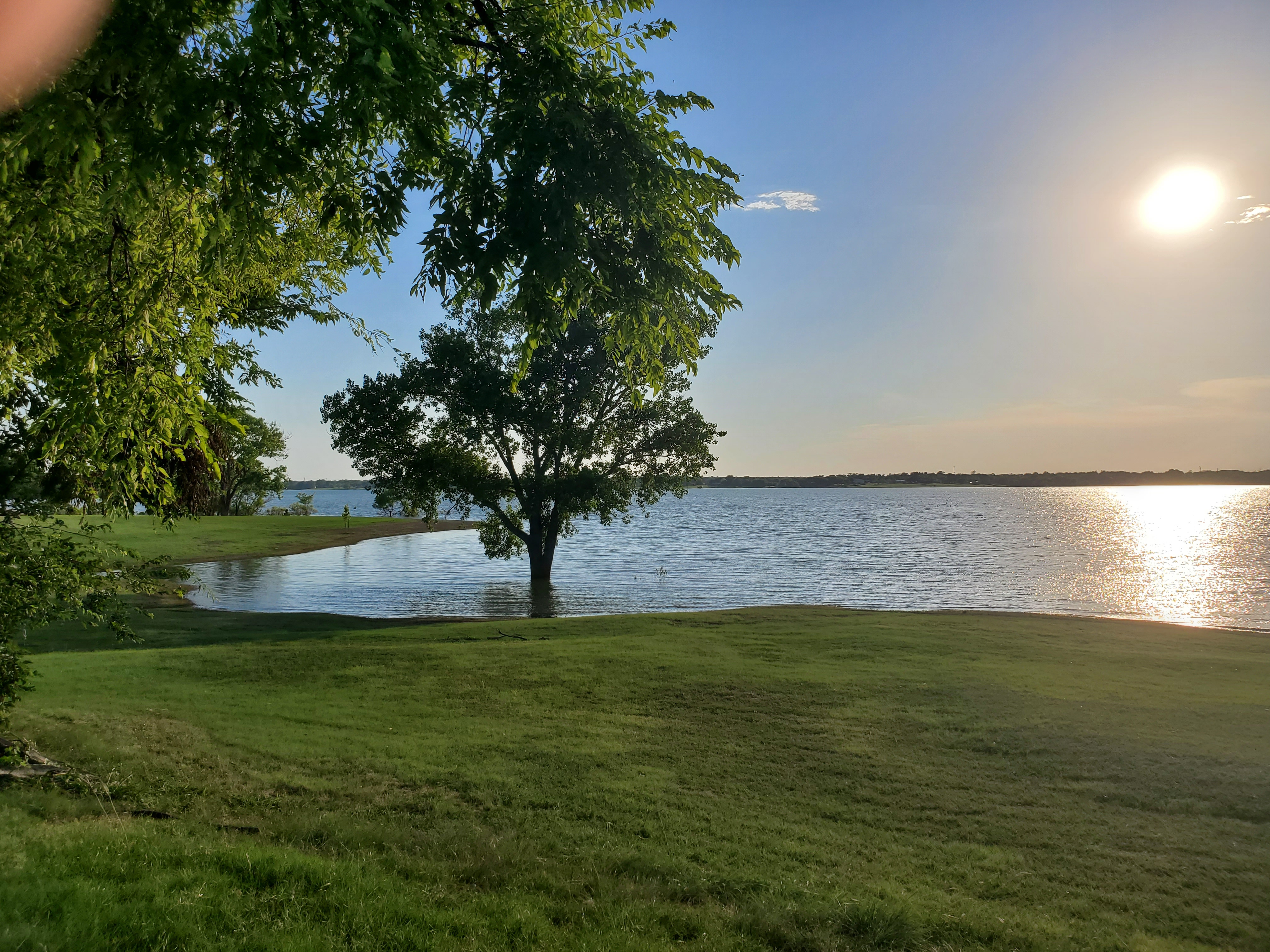 A view of the overflowing lake. That tree is knee-deep. Could trees have knees?