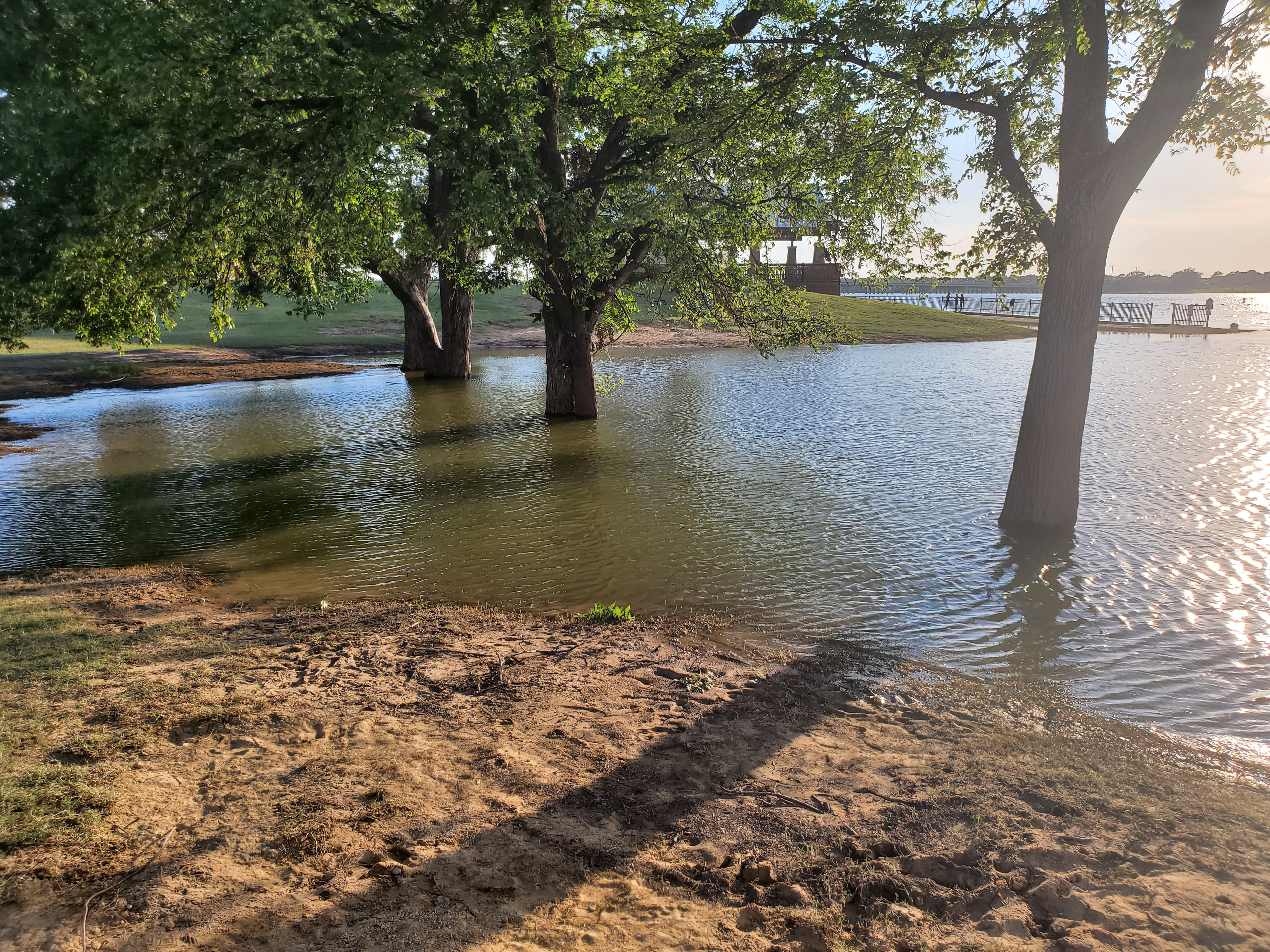 A photo of some submerged trees. Normally these would have made for some great shade.